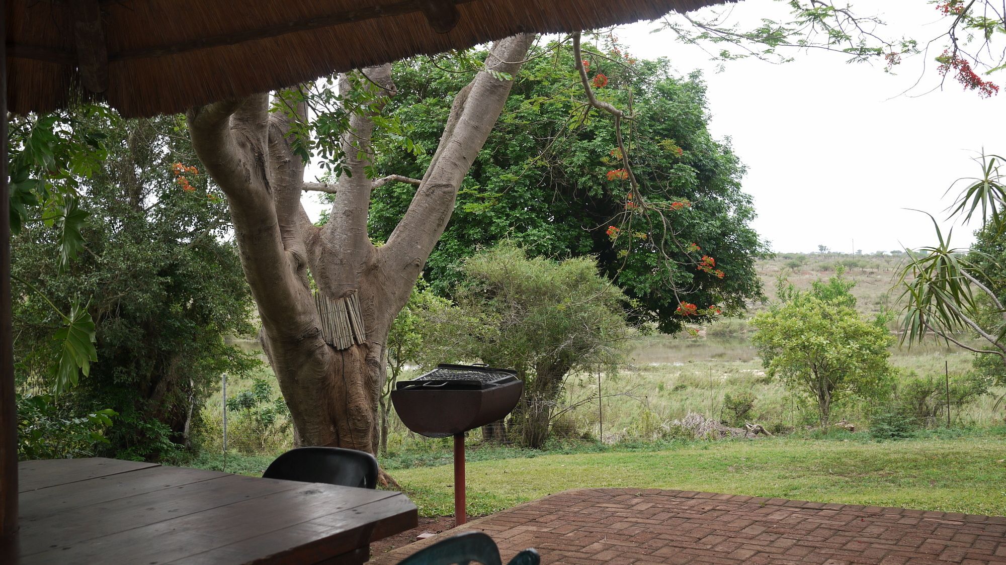 Elephant Walk Retreat Komatipoort Esterno foto