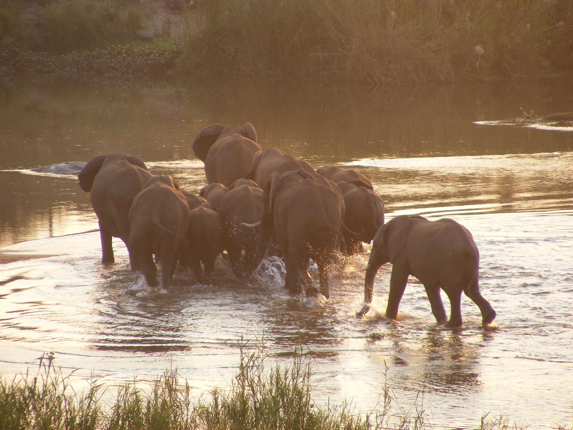 Elephant Walk Retreat Komatipoort Esterno foto