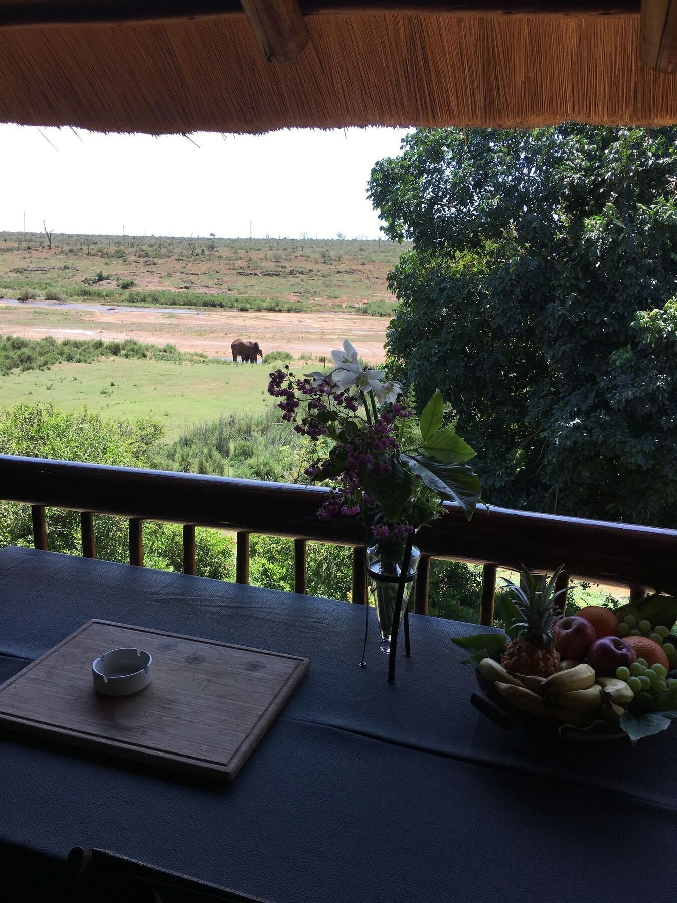Elephant Walk Retreat Komatipoort Esterno foto