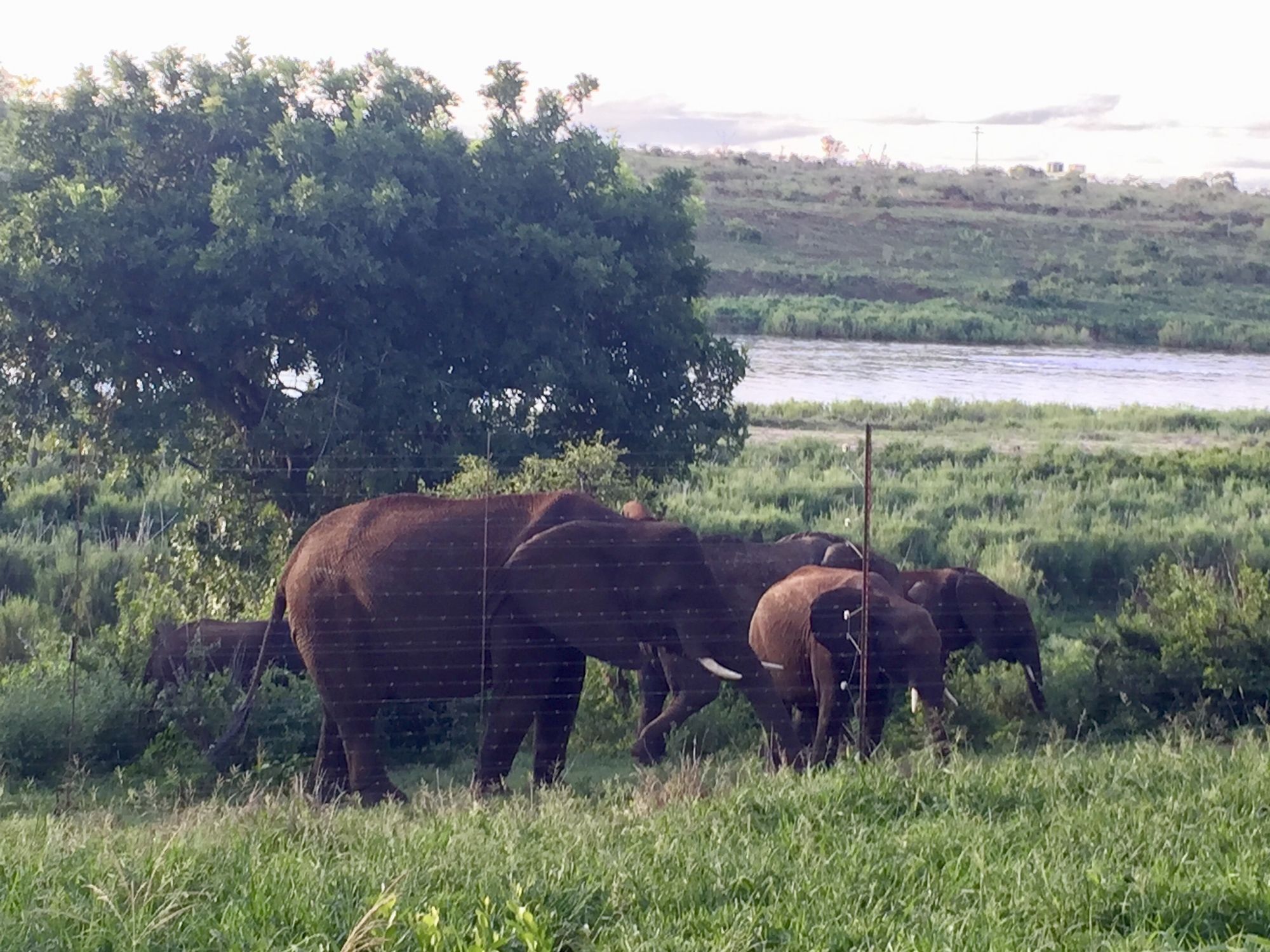 Elephant Walk Retreat Komatipoort Esterno foto